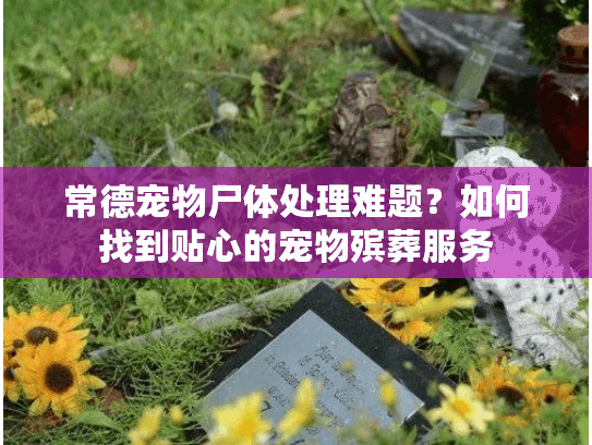 常德宠物尸体处理难题?如何找到贴心的宠物殡葬服务 常德宠物尸体处理难题?如何找到贴心的宠物殡葬服务
