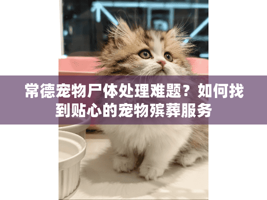常德宠物尸体处理难题?如何找到贴心的宠物殡葬服务 常德宠物尸体处理难题?如何找到贴心的宠物殡葬服务