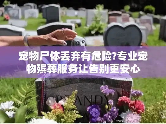 宠物尸体丢弃有危险?专业宠物殡葬服务让告别更安心