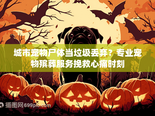 城市宠物尸体当垃圾丢弃?专业宠物殡葬服务挽救心痛时刻 城市宠物尸体当垃圾丢弃?专业宠物殡葬服务挽救心痛时刻