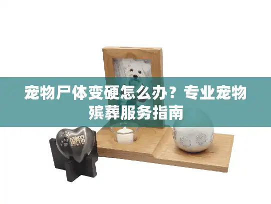 宠物尸体变硬怎么办？专业宠物殡葬服务指南