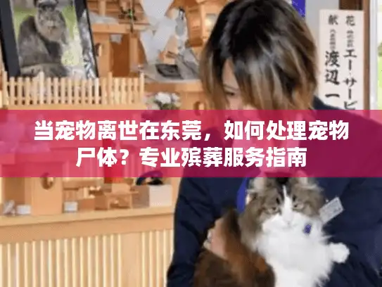 当宠物离世在东莞，如何处理宠物尸体？专业殡葬服务指南