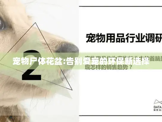 宠物尸体花盆:告别爱宠的环保新选择