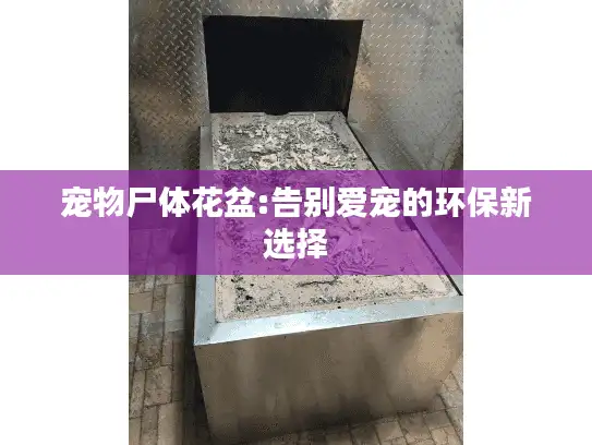 宠物尸体花盆:告别爱宠的环保新选择