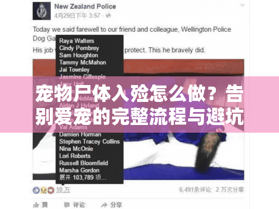 宠物尸体入殓怎么做？告别爱宠的完整流程与避坑指南