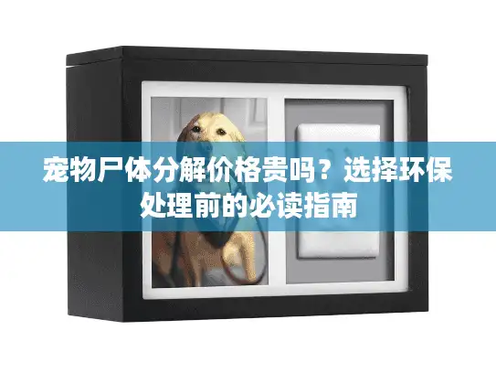 宠物尸体分解价格贵吗？选择环保处理前的必读指南