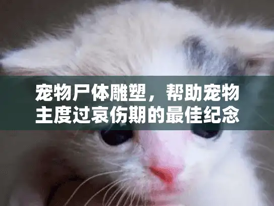 宠物尸体雕塑，帮助宠物主度过哀伤期的最佳纪念方式?