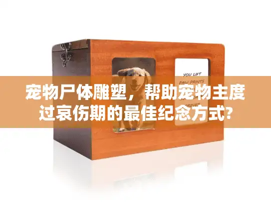 宠物尸体雕塑，帮助宠物主度过哀伤期的最佳纪念方式?