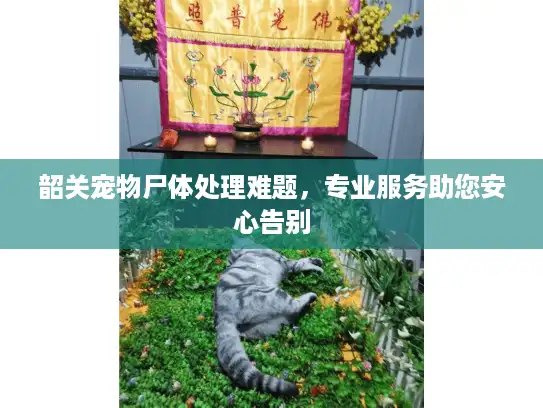 韶关宠物尸体处理难题,专业服务助您安心告别 韶关宠物尸体处理难题,专业服务助您安心告别