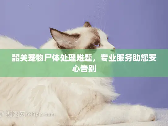 韶关宠物尸体处理难题,专业服务助您安心告别 韶关宠物尸体处理难题,专业服务助您安心告别