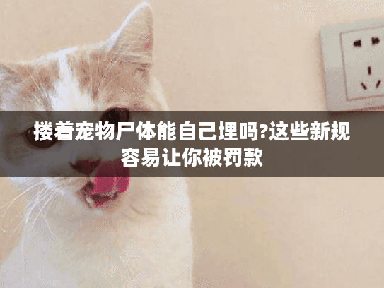 搂着宠物尸体能自己埋吗?这些新规容易让你被罚款 搂着宠物尸体能自己埋吗?这些新规容易让你被罚款