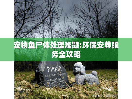 宠物鱼尸体处理难题:环保安葬服务全攻略