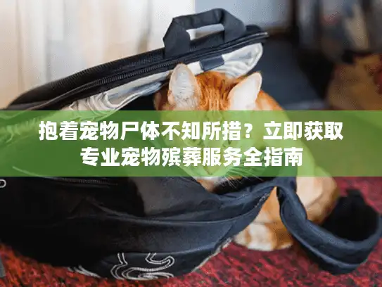 抱着宠物尸体不知所措？立即获取专业宠物殡葬服务全指南
