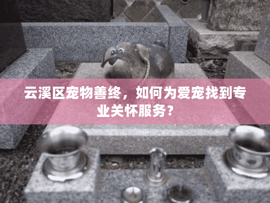 云溪区宠物善终，如何为爱宠找到专业关怀服务？