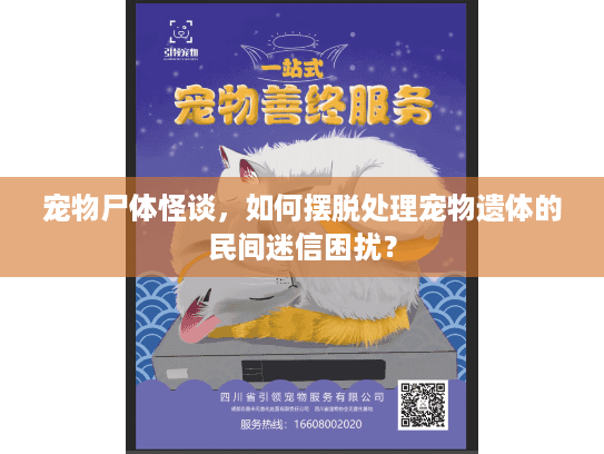 宠物尸体怪谈，如何摆脱处理宠物遗体的民间迷信困扰？