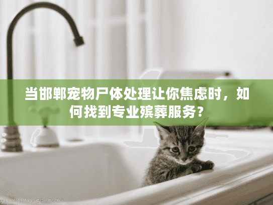 当邯郸宠物尸体处理让你焦虑时，如何找到专业殡葬服务？