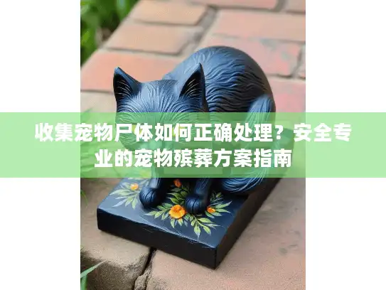 收集宠物尸体如何正确处理？安全专业的宠物殡葬方案指南
