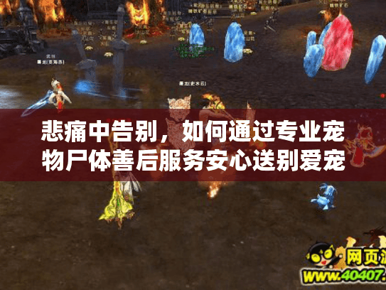 悲痛中告别，如何通过专业宠物尸体善后服务安心送别爱宠？