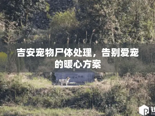 吉安宠物尸体处理,告别爱宠的暖心方案 吉安宠物尸体处理,告别爱宠的暖心方案