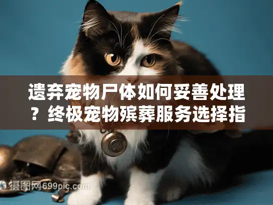 遗弃宠物尸体如何妥善处理？终极宠物殡葬服务选择指南