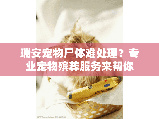 瑞安宠物尸体难处理？专业宠物殡葬服务来帮你