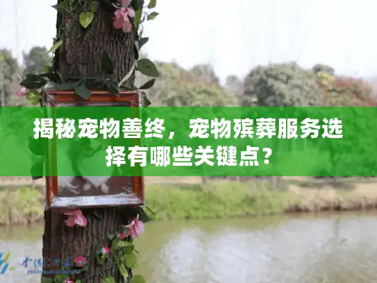 揭秘宠物善终,宠物殡葬服务选择有哪些关键点? 揭秘宠物善终,宠物殡葬服务选择有哪些关键点?