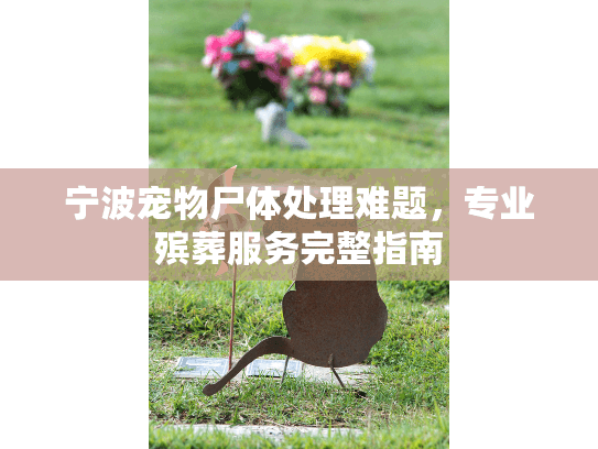 宁波宠物尸体处理难题，专业殡葬服务完整指南
