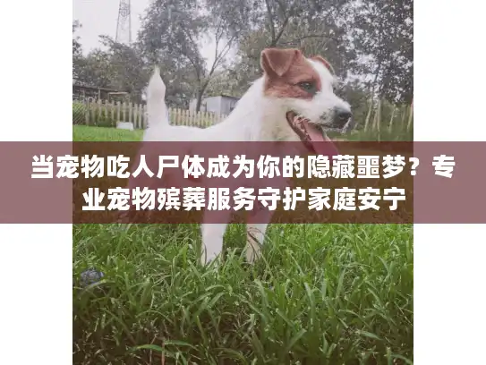 当宠物吃人尸体成为你的隐藏噩梦？专业宠物殡葬服务守护家庭安宁