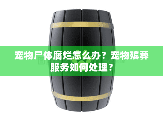 宠物尸体腐烂怎么办？宠物殡葬服务如何处理？