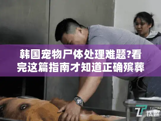 韩国宠物尸体处理难题?看完这篇指南才知道正确殡葬方式 韩国宠物尸体处理难题?看完这篇指南才知道正确殡葬方式