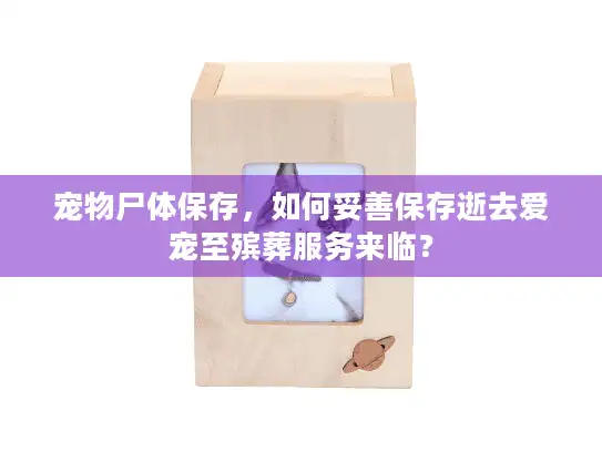 宠物尸体保存，如何妥善保存逝去爱宠至殡葬服务来临？