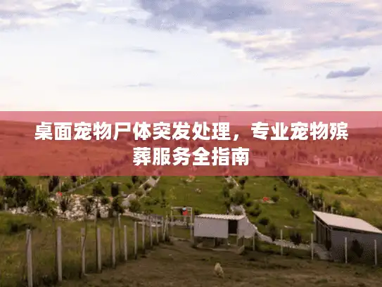 桌面宠物尸体突发处理，专业宠物殡葬服务全指南