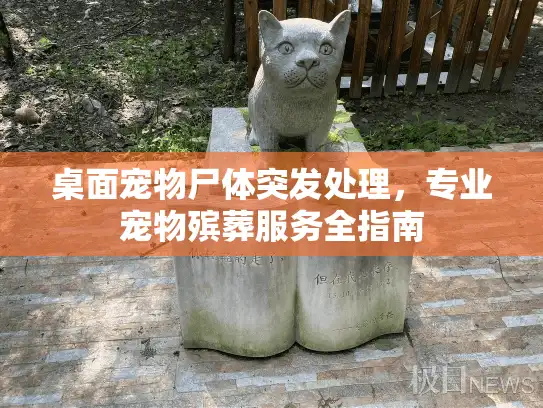 桌面宠物尸体突发处理，专业宠物殡葬服务全指南