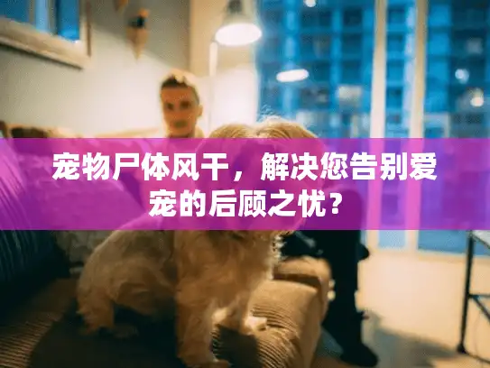 宠物尸体风干,解决您告别爱宠的后顾之忧? 宠物尸体风干,解决您告别爱宠的后顾之忧?