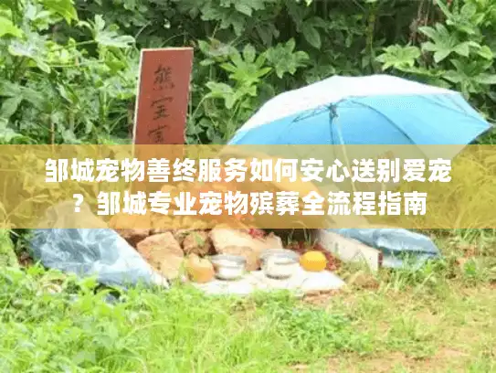邹城宠物善终服务如何安心送别爱宠？邹城专业宠物殡葬全流程指南