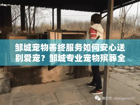 邹城宠物善终服务如何安心送别爱宠？邹城专业宠物殡葬全流程指南