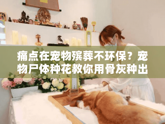 痛点在宠物殡葬不环保？宠物尸体种花教你用骨灰种出纪念花卉