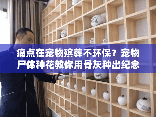 痛点在宠物殡葬不环保？宠物尸体种花教你用骨灰种出纪念花卉