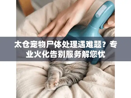 太仓宠物尸体处理遇难题?专业火化告别服务解您忧 太仓宠物尸体处理遇难题?专业火化告别服务解您忧