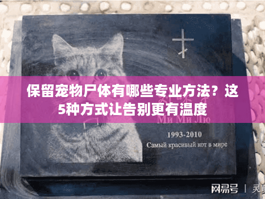 保留宠物尸体有哪些专业方法？这5种方式让告别更有温度