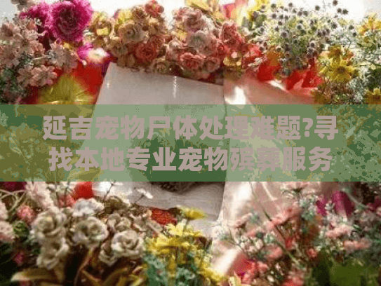延吉宠物尸体处理难题?寻找本地专业宠物殡葬服务指南