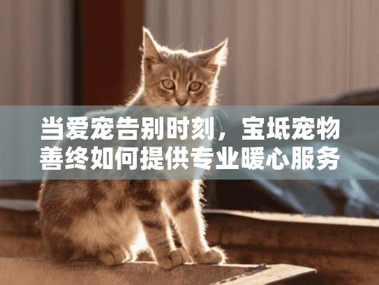 当爱宠告别时刻，宝坻宠物善终如何提供专业暖心服务？