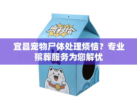 宜昌宠物尸体处理烦恼？专业殡葬服务为您解忧