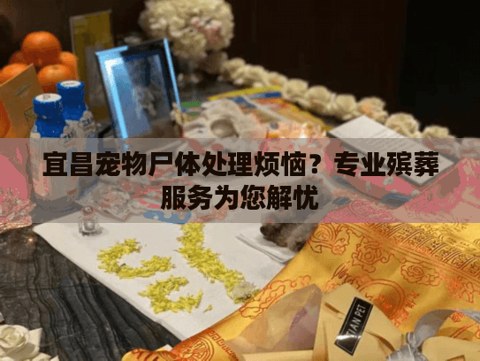 宜昌宠物尸体处理烦恼？专业殡葬服务为您解忧