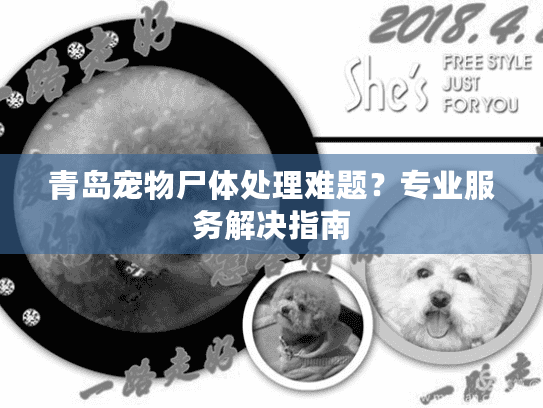 青岛宠物尸体处理难题?专业服务解决指南 青岛宠物尸体处理难题?专业服务解决指南