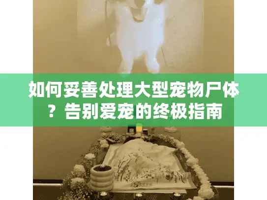 如何妥善处理大型宠物尸体？告别爱宠的终极指南