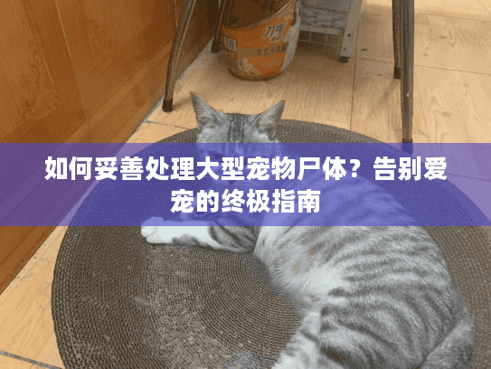 如何妥善处理大型宠物尸体？告别爱宠的终极指南