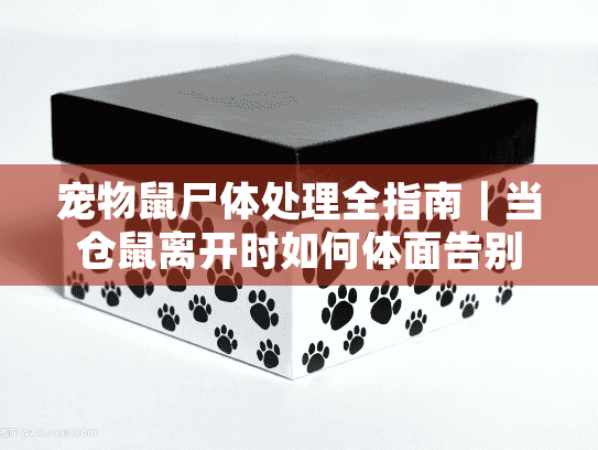 宠物鼠尸体处理全指南|当仓鼠离开时如何体面告别 宠物鼠尸体处理全指南|当仓鼠离开时如何体面告别