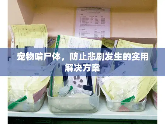 宠物啃尸体，防止悲剧发生的实用解决方案