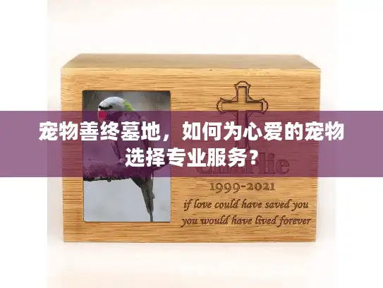 宠物善终墓地，如何为心爱的宠物选择专业服务？